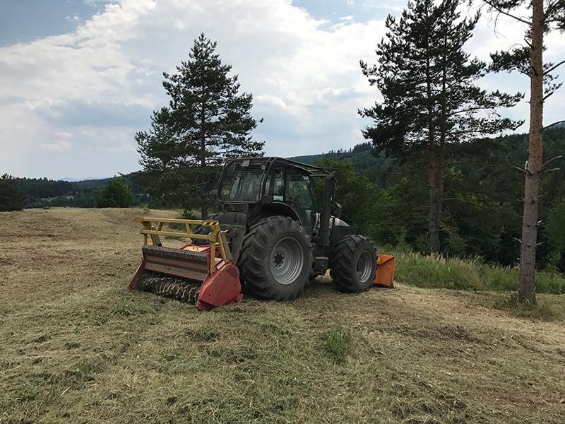 SEPPI MIDIFORST <br>DT250 - Lesná fréza